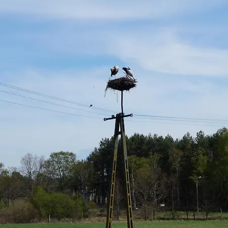 Фермерский дом ,, Pod Debem