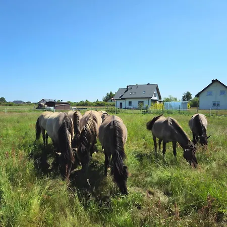 Фермерский дом ,, Pod Debem