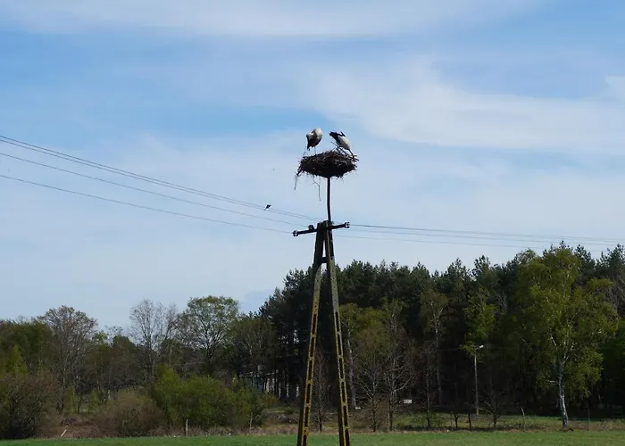 בית חווה ,, Pod Debem