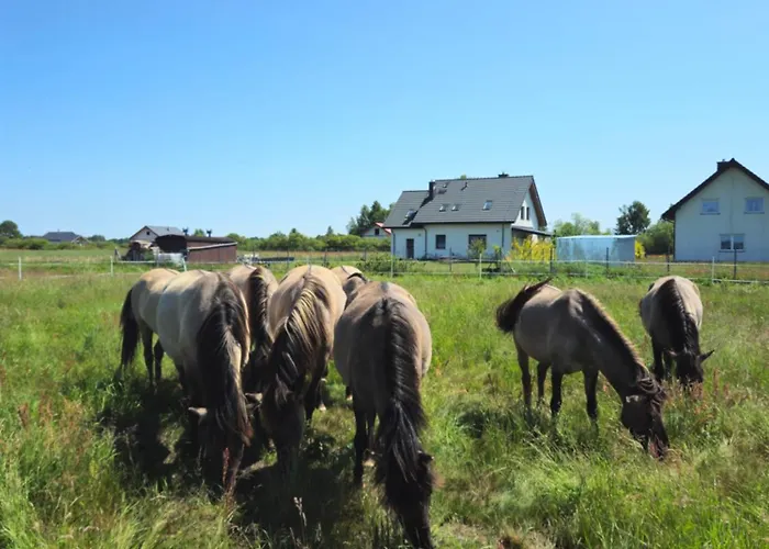 בית חווה ,, Pod Debem